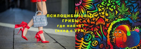 Альфа ПВП Алзамай