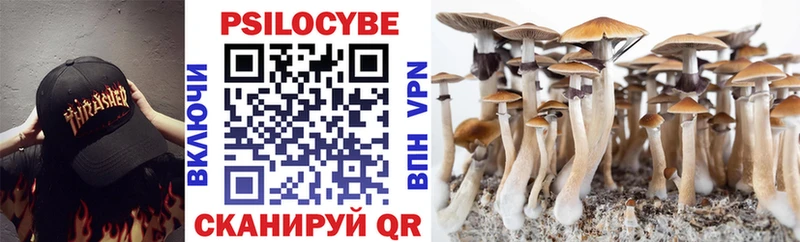 Псилоцибиновые грибы GOLDEN TEACHER  где купить наркоту  Ставрополь 
